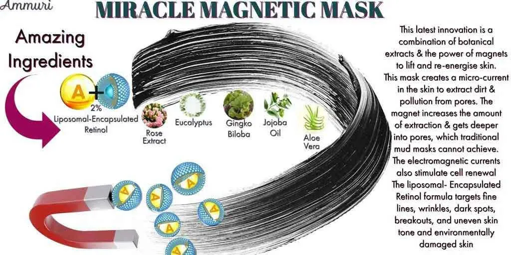 Mineral-Rich Magnetic Face Mask