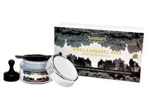 Mineral-Rich Magnetic Face Mask